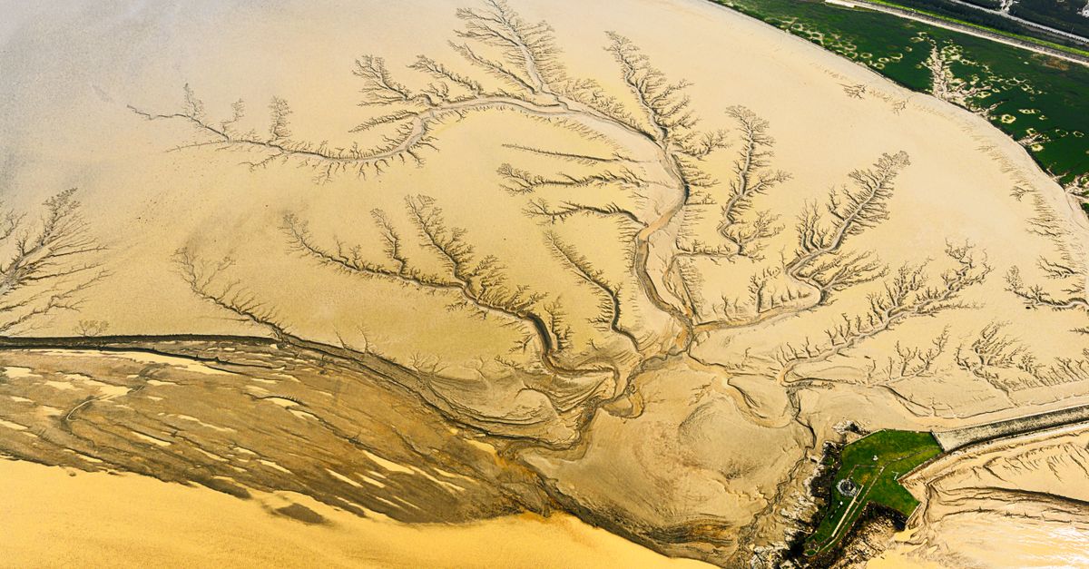 Stunning aerial view of a river delta showing intricate branching patterns and natural beauty.